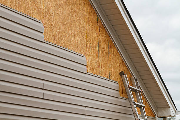 Professional Siding Inspection technician working in Dunedin, FL